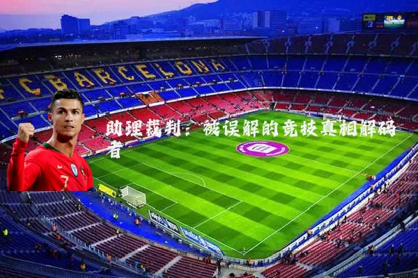助理裁判：被误解的竞技真相解码者